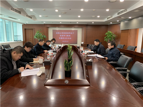 成绵公司党委召开党史学习教育专题民主生活会