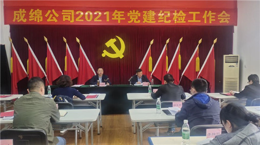 成绵公司召开2021年党建纪检工作会